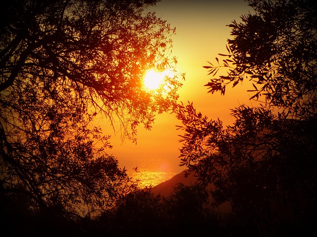 sunset-115448_640.jpg